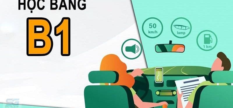 Học Lái Xe B1 2026 – Có Nên Học Bằng B1 Không?