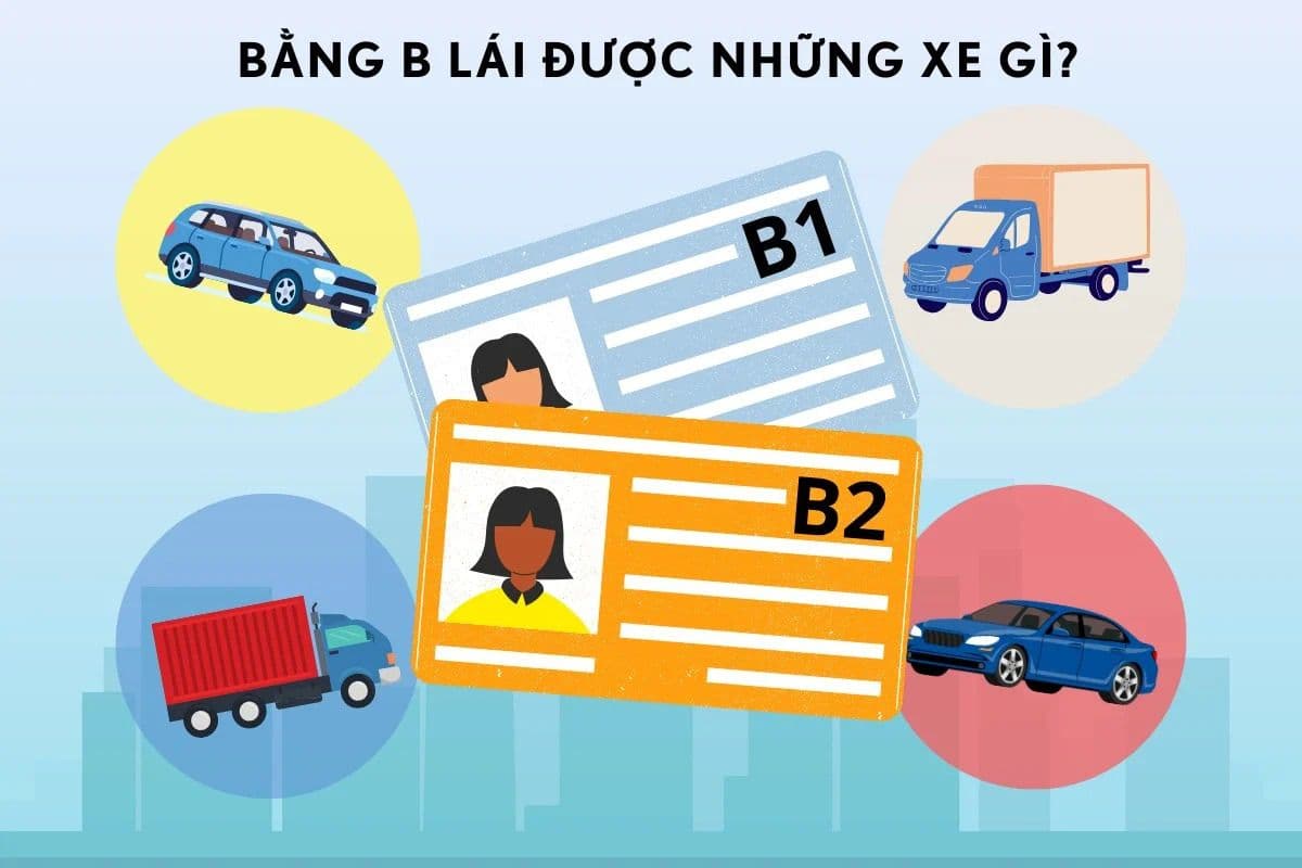 Nên Học Bằng Lái Xe B1 Hay B2? So Sánh Chi Tiết